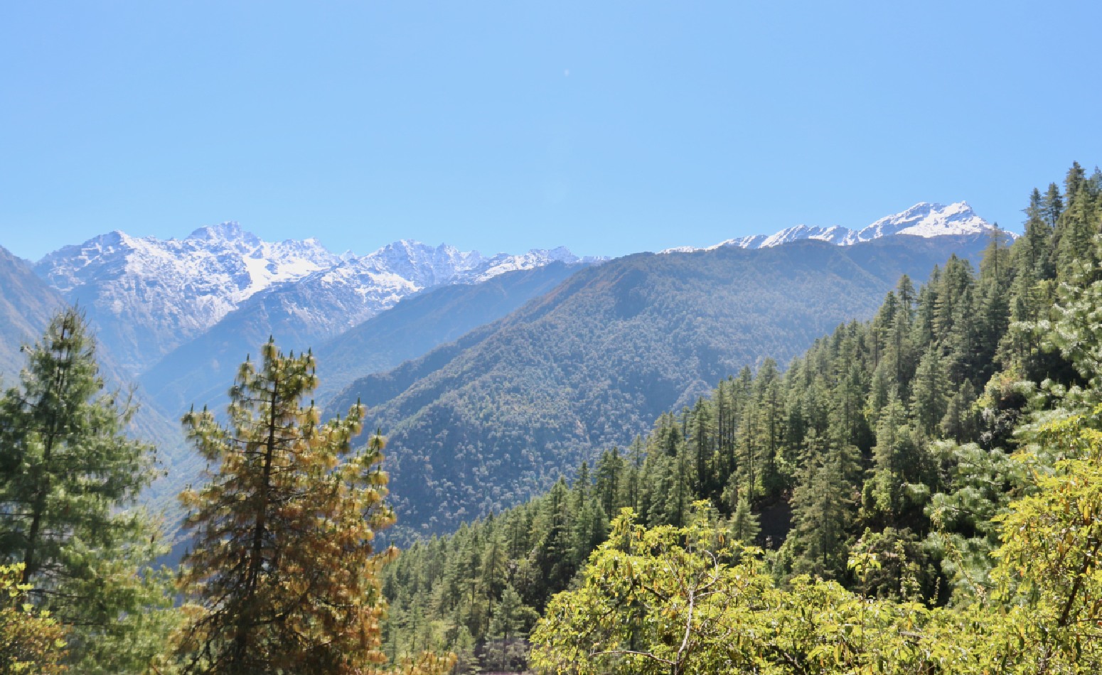 langtang range trek