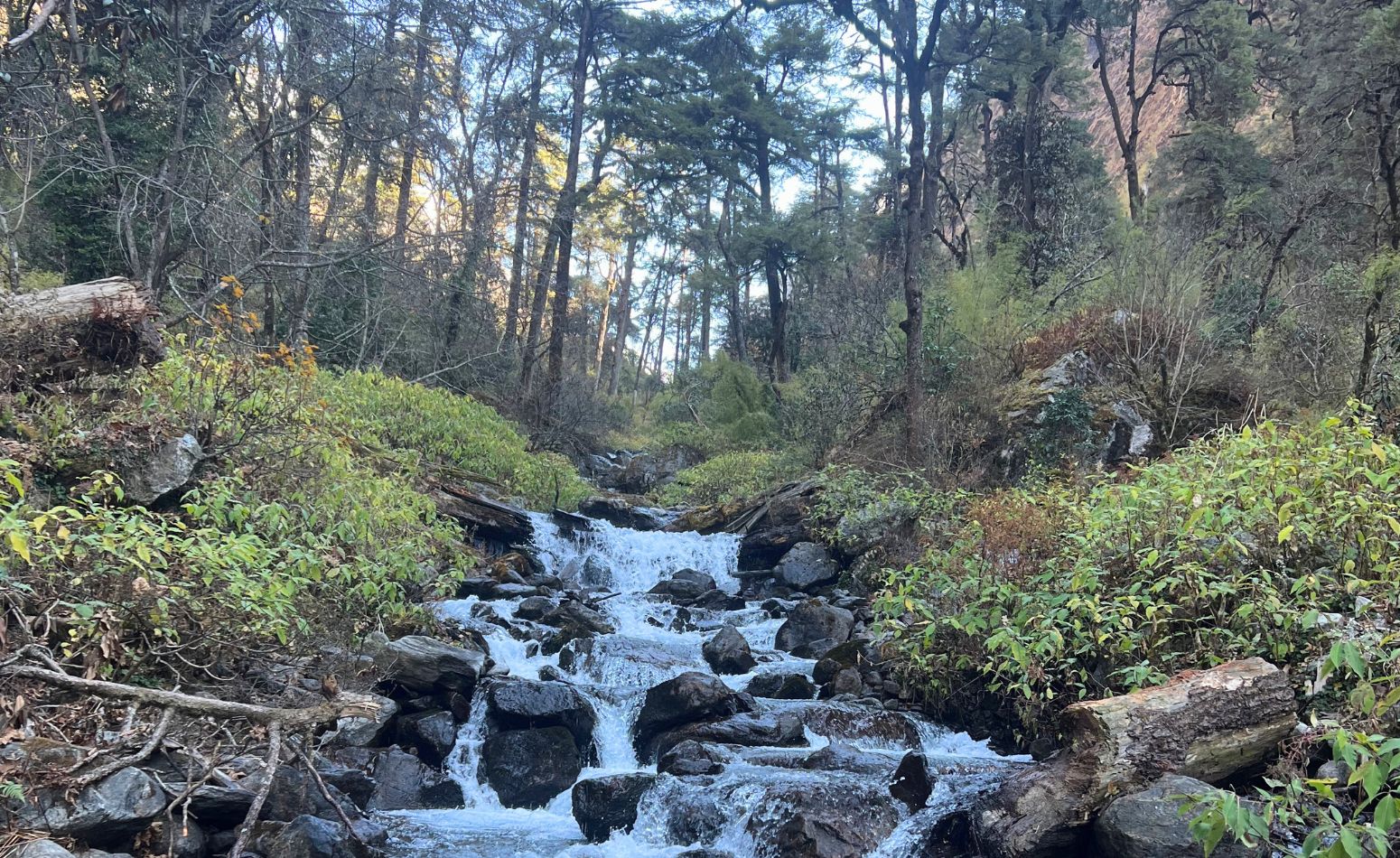 nature trek nepal