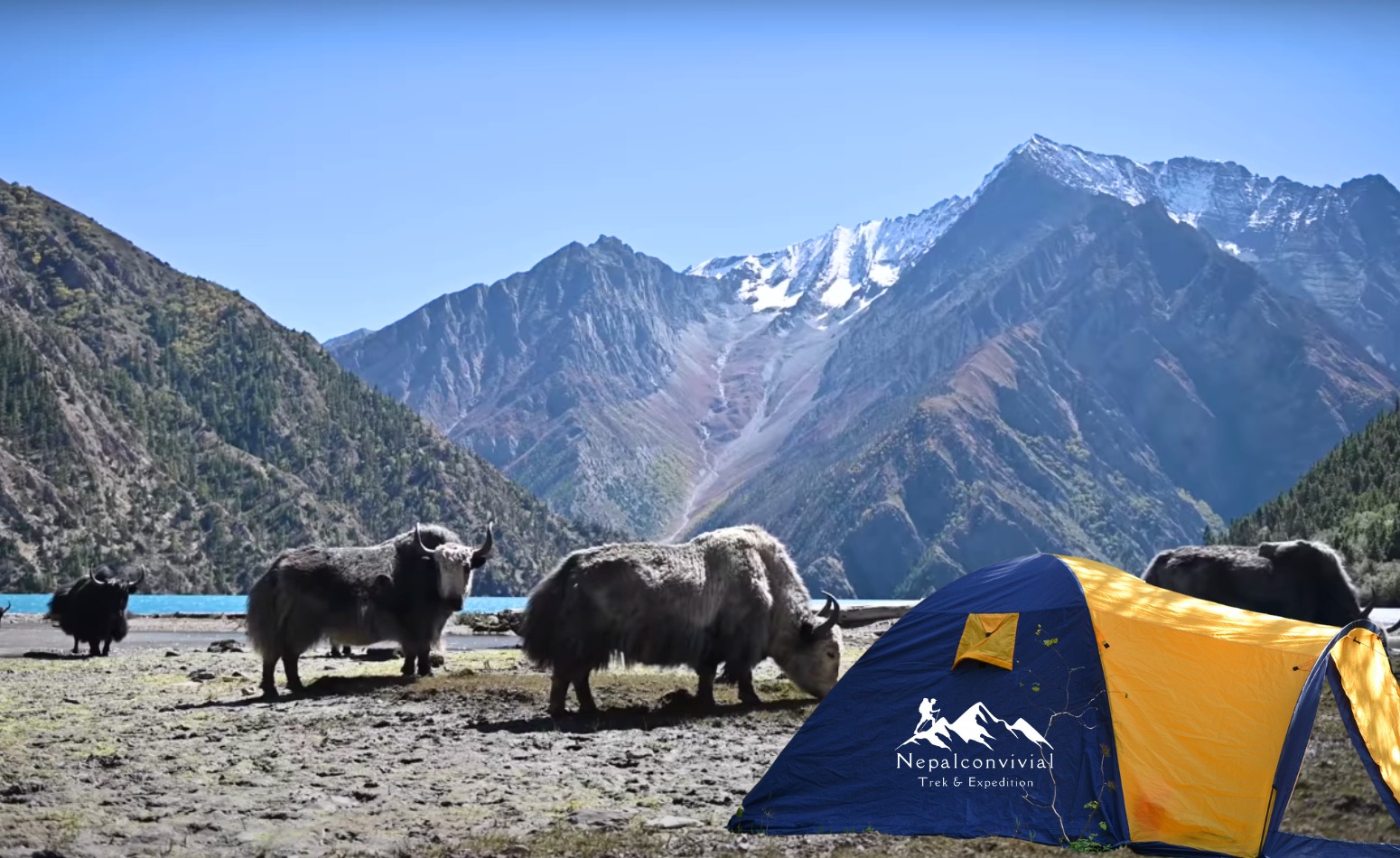 upper dolpa camping trek