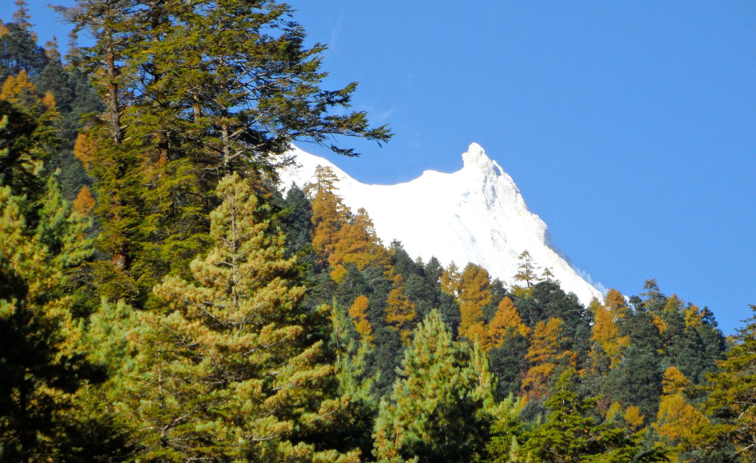 manaslu circuit trek